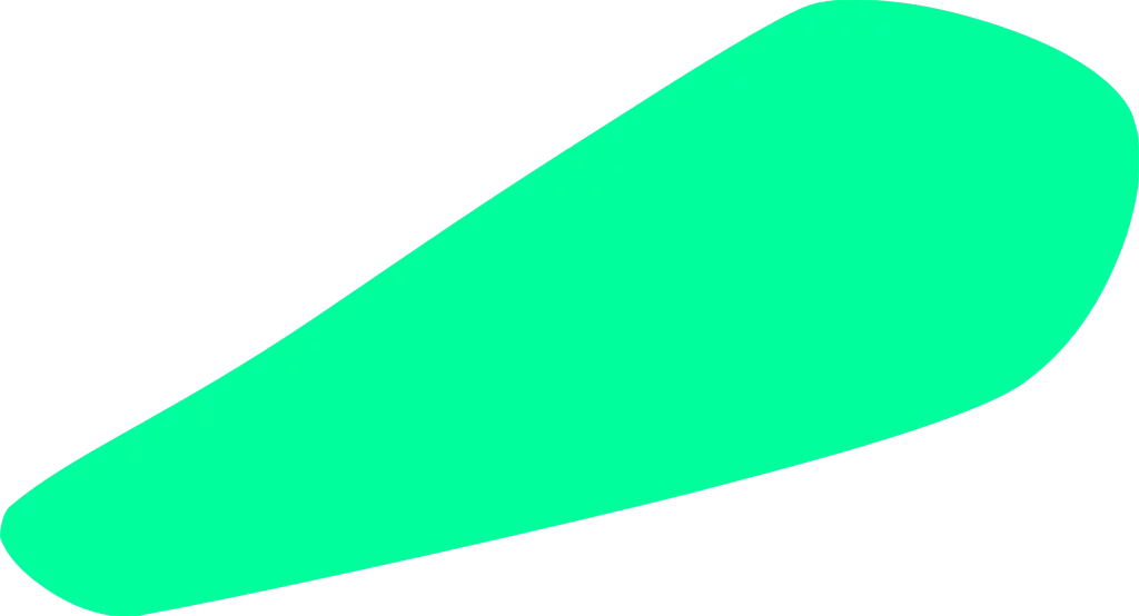 forme verte issue du logo Kaléïdoscope